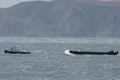 Tugboat pulling ship lost in bora