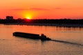 Tugboat pushing heavy long barge on the river Dnieper at sunset