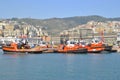 Tugboats in Genoa port