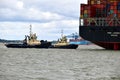 Tugs lead out a container ship from the port from Felixstowe UK