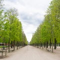 Tuileries garden is a favorite place of tourists and Parisians. Tuileries is a public garden located between the Louvre Royalty Free Stock Photo