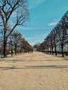 Tuilleries garden, royal garden of the Louvre Museum, Paris, France