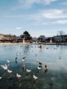 Tuilleries garden in the winter, Paris, France