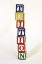 Tuition blocks vertical Royalty Free Stock Photo