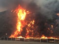 Tujunga Califonia Wild Fire, Los Angeles Brush Fire