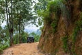 Tuk tuk mototaxi in the jungle of Sri Lanka