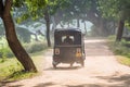 Rikshaw in Tea field plantations, Sri Lanka Royalty Free Stock Photo