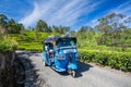 Tuk Tuk in Tea field plantations, Sri Lanka Royalty Free Stock Photo