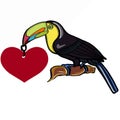 Tukan bird and heart banner