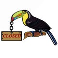 Tukan bird and wood banner closed text