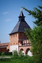 Tula Kremlin - Water tower gate XVI Royalty Free Stock Photo
