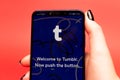 26 08 2019 Tula: Tumblr on the phone display. Logo
