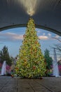 Tulalip Casino Christmas Decorations Royalty Free Stock Photo