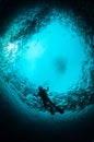 Diver amongst a ball of jacks at the wreck of the USS Liberty, Bali Royalty Free Stock Photo