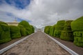 TULCAN, ECUADOR - JULY 3, 2016: topiary sculptures on the sides of the path close to some vertical graves