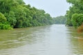 Tulcea, Romania - july 2 2023 : Danube delta