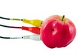 Tulip audio video wires plugs connect to apple Royalty Free Stock Photo