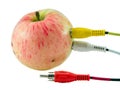 Tulip audio video wires plugs connected to apple