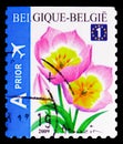 Tulip Bakeri Selfadh. Top imperforate, Flowers serie, circa 2009 Royalty Free Stock Photo