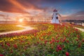 Tulip and beautiful landscape with sunrise Royalty Free Stock Photo