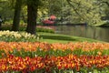 Tulip Beds Royalty Free Stock Photo