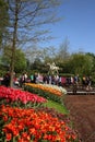 Tulip beds, Keukenhof Gardens, people and statue Royalty Free Stock Photo