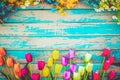 Tulip blossom flowers on vintage wooden background