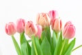 Tulip Bouquet Royalty Free Stock Photo