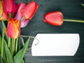 Tulip bouquet and blank card Royalty Free Stock Photo