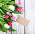 Tulip bouquet and blank card Royalty Free Stock Photo