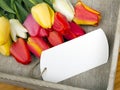 Tulip bouquet and blank card on wooden tray Royalty Free Stock Photo