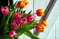 Tulip bouquet spring Easter wooden