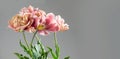 Tulip bouquet, tulips spring flowers close up, blooming pastel pink tulips Easter background, bunch on grey background Royalty Free Stock Photo