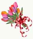 Tulip bouquet. Vector