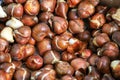 Tulip bulbs ready for planting, background. Royalty Free Stock Photo