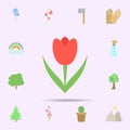 Tulip colored icon. Universal set of nature for website design and development, app development