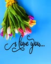 Tulip colorful flowers festive on blue bouquet love text quotes