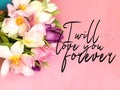 Tulip colorful flowers  festive bouquet floral on white pink blue background , valentines day or women day  on best wishes love qu Royalty Free Stock Photo