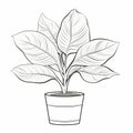 Tulip Coloring Page With Fiddle Leaf Fig In Room