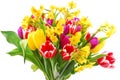 Tulip and daffodil bouquet Royalty Free Stock Photo