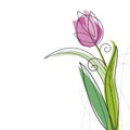 Tulip design Royalty Free Stock Photo