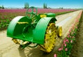 Tulip Farm Tractor