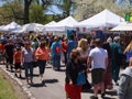 Tulip Festival in Albany, New York State