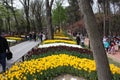 Tulip festival, emirgan park istanbul turkey Royalty Free Stock Photo