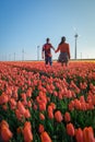 Tulip fields in the Netherlands, couple men and woman in flower field during Spring in the Nethertlands Royalty Free Stock Photo