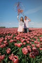 Tulip fields in the Netherlands, couple men and woman in flower field during Spring in the Nethertlands Royalty Free Stock Photo