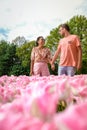 Tulip fields in the Netherlands, couple men and woman in flower field during Spring in the Nethertlands Royalty Free Stock Photo