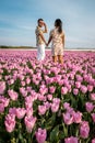 Tulip fields in the Netherlands, couple men and woman in flower field during Spring in the Nethertlands Royalty Free Stock Photo