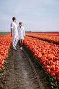 Tulip fields in the Netherlands, couple men and woman in flower field during Spring in the Nethertlands Royalty Free Stock Photo