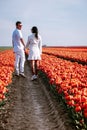 Tulip fields in the Netherlands, couple men and woman in flower field during Spring in the Nethertlands Royalty Free Stock Photo